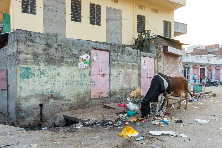 India 2014 - Jaipur 045.jpg